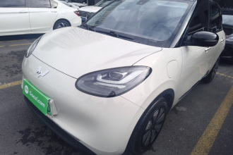 五菱汽车 五菱缤果 2024款 333km 灵犀互联款