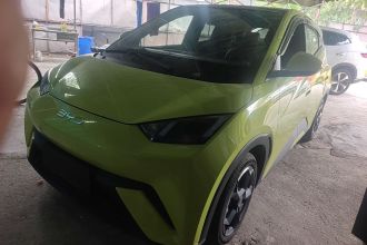 比亚迪 海鸥 2024款 荣耀版 305km 自由版