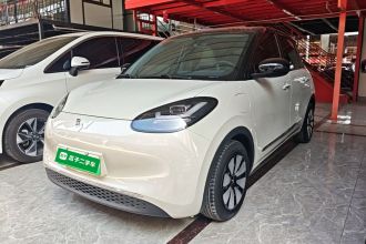 五菱汽车 五菱缤果 2024款 333km 灵犀互联款