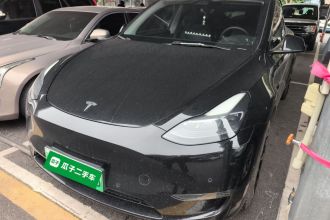 特斯拉 Model Y 2021款 标准续航后驱版