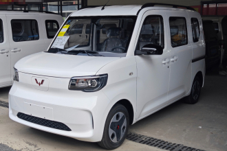 五菱汽车 五菱之光新能源 2025款 305km 进取型