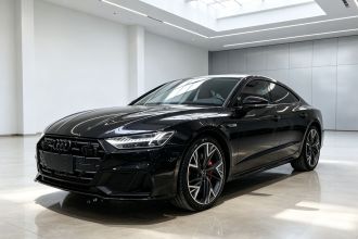 奥迪A7L 2024款 45 TFSI quattro S-line 黑武士版