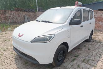 五菱汽车 五菱宏光新能源 2024款 纯电版 300KM 实用型