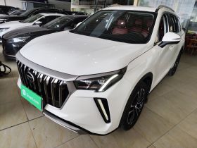 广汽传祺 传祺GS4 PLUS 2022款 270T 自动星辰版