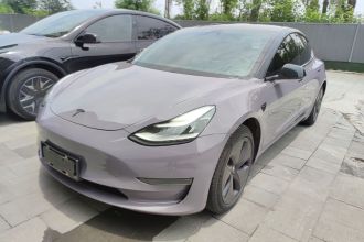特斯拉 Model 3(进口) 2019款 长续航后驱版