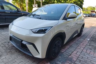 比亚迪 海鸥 2024款 荣耀版 305km 活力版