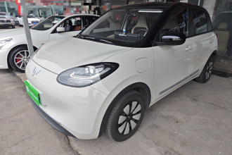 五菱汽车 五菱缤果 2024款 203km 轻享款
