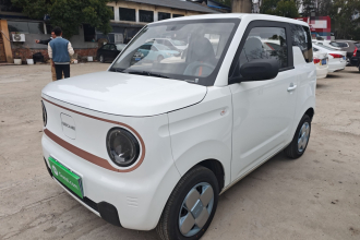 吉利银河 2024款 熊猫mini 200km 耐力熊