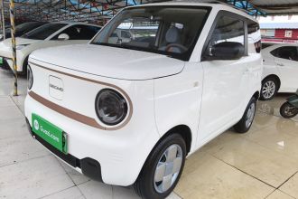 吉利银河 2024款 熊猫mini 200km 耐力熊