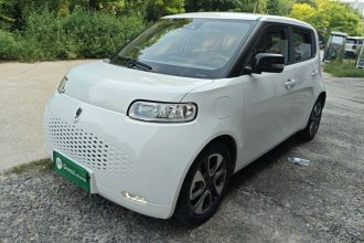 欧拉白猫 2020款 401km 旗舰型