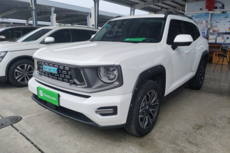 哈弗大狗 PLUS 新能源 2023款 DHT-PHEV 105km 潮电版Plus