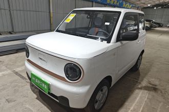 吉利银河 2024款 熊猫mini 200km 耐力熊