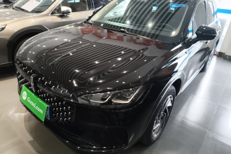 林肯 冒险家 2024款 1.5T 两驱尊享混动版