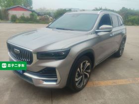 吉利汽车 星越L 2021款 2.0TD DCT EVO两驱智尊型