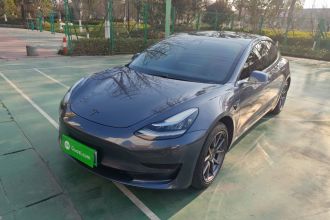 特斯拉 Model 3 2019款 标准续航后驱升级版