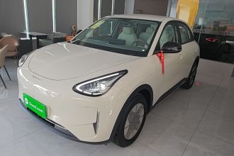 吉利银河 星愿 2026款 310km 乘风版