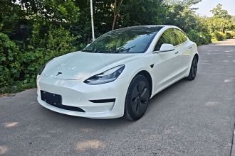 特斯拉 Model 3(进口) 2019款 标准续航后驱升级版(52度)