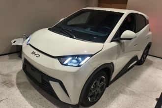 比亚迪 海鸥 2024款 荣耀版 405km 飞翔版