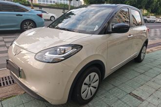 五菱汽车 五菱缤果 2023款 203km 轻享款