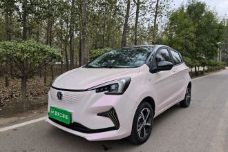 长安 奔奔E-Star 2022款 清心版 多彩款 磷酸铁锂