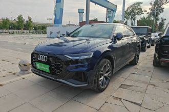 奥迪Q8 2019款 55 TFSI 豪华动感型