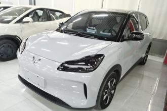 五菱汽车 五菱缤果PLUS 2024款 330km 五座版
