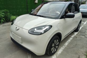 五菱汽车 五菱缤果 2024款 333km 悦享款