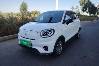 零跑汽车 零跑T03 2021款 400轻享版 磷酸铁锂