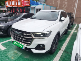 哈弗H6 2021款 国潮版 1.5T 自动都市版