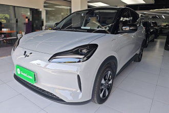 五菱汽车 五菱缤果PLUS 2024款 510km 旗舰版 四座版