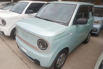 吉利银河 2024款 熊猫mini 200km 耐力熊