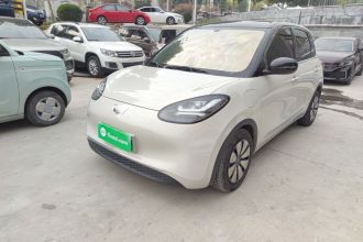 五菱汽车 五菱缤果 2024款 333km 悦享款