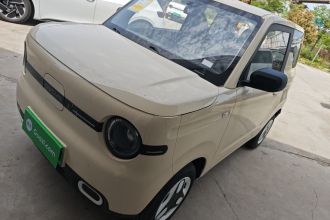 吉利银河 2025款 熊猫mini 210km 元气熊