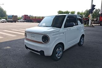 吉利银河 2024款 熊猫mini 200km 耐力熊