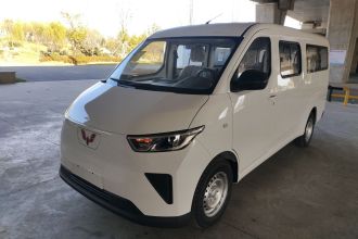 五菱汽车 五菱扬光 2024款 300KM 舒适型客车版 75kW