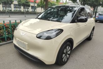五菱汽车 五菱缤果 2023款 410km 灵犀尊享款