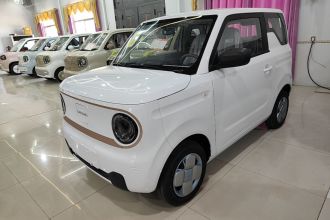 吉利银河 2024款 熊猫mini 200km 耐力熊