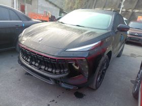 东风风行 风行T5 EVO 2021款 1.5TD DCT铂金版