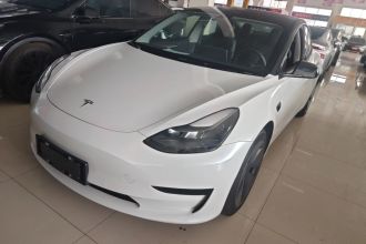 特斯拉 Model 3 2021款 标准续航后驱升级版 3D6
