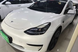 特斯拉 Model 3 2021款 标准续航后驱升级版 3D6