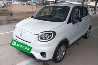 零跑汽车 零跑T03 2022款 皓玉版