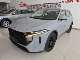 启辰大V 2023款 260T 爱豆版 Pro