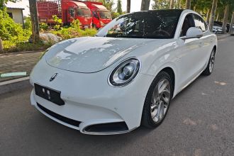 欧拉闪电猫 2022款 555km 尊贵版