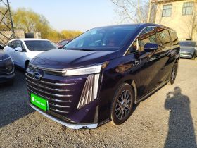 广汽传祺 传祺E9 2023款 E9 MAX