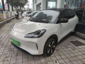五菱汽车 五菱缤果PLUS 2024款 330km 五座版