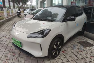 五菱汽车 五菱缤果PLUS 2024款 330km 五座版