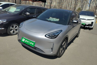 吉利银河 星愿 2025款 310km 梦想版