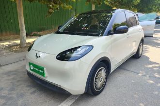 五菱汽车 五菱缤果 2023款 203km 舒享款