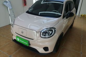 零跑汽车 零跑T03 2023款 310轻享版