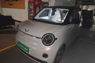 五菱汽车 宏光MINIEV 2026款 第五代 301km 臻享款
